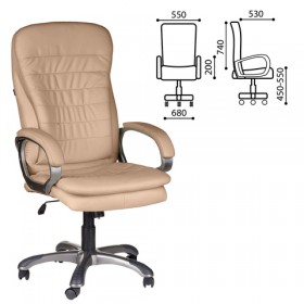 Кресло офисное BRABIX Omega EX-589 в Искитиме - iskitim.katalogmebeli.com | фото 1