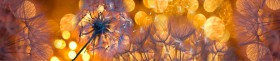 Кухонный фартук Мерцание Одуванчики золотистые 3 серебро в Искитиме - iskitim.katalogmebeli.com | фото