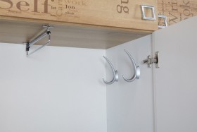 Шкаф для одежды «Оксфорд» (Ривьера/Белый с рисунком) в Искитиме - iskitim.katalogmebeli.com | фото 7